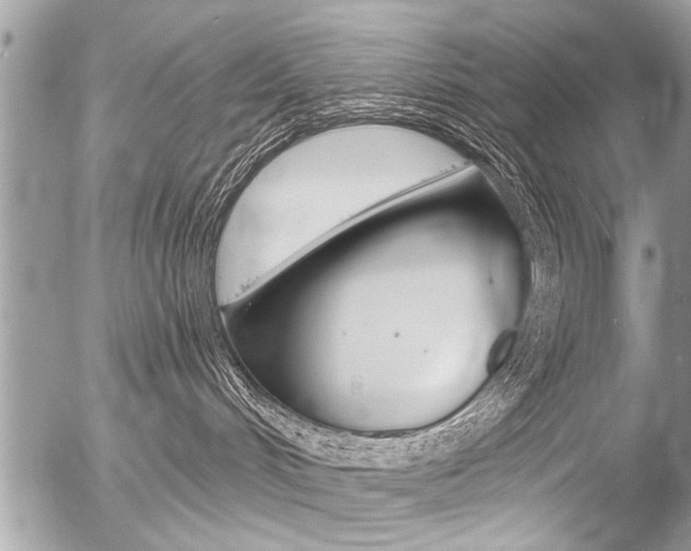 X0000058820048200509300926