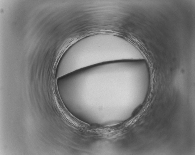 X0000058820049200509300926