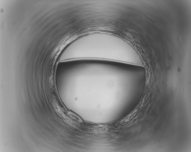 X0000058820050200509300926