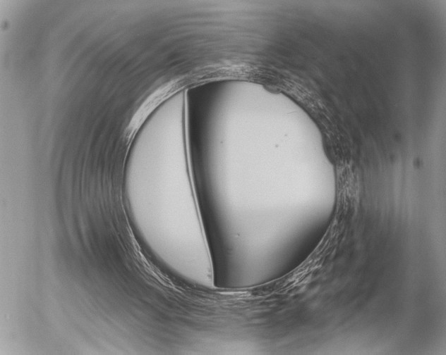 X0000058820051200509300926