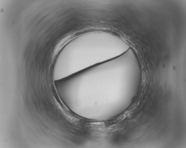 X0000058820053200509300926