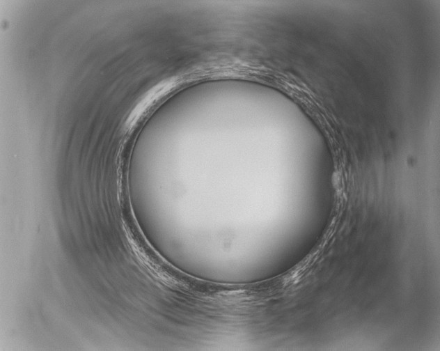 X0000058820054200509300926