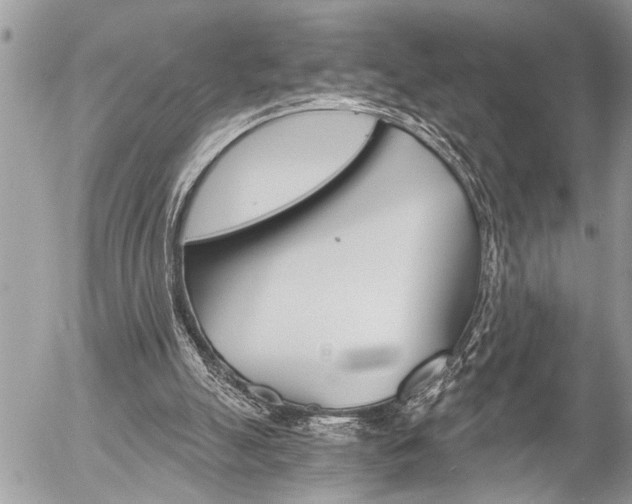 X0000058820055200509300926