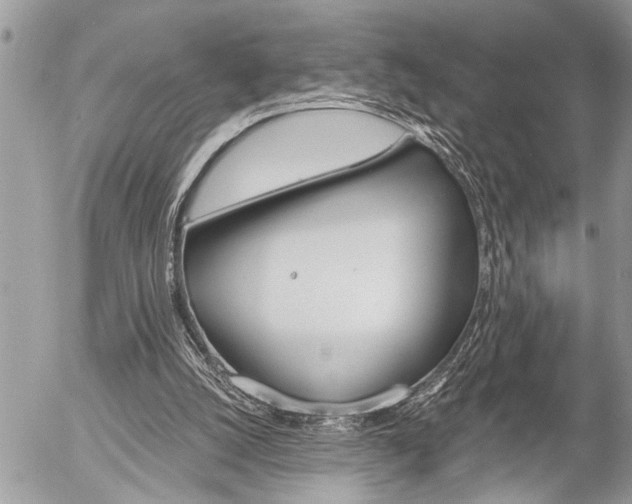 X0000058820056200509300926