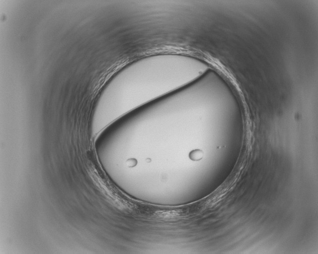 X0000058820057200509300926