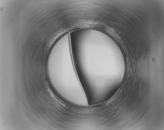 X0000058820058200509300926