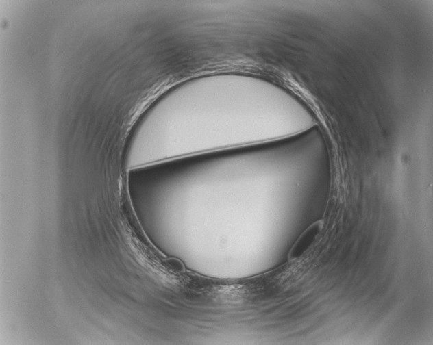 X0000058820059200509300926