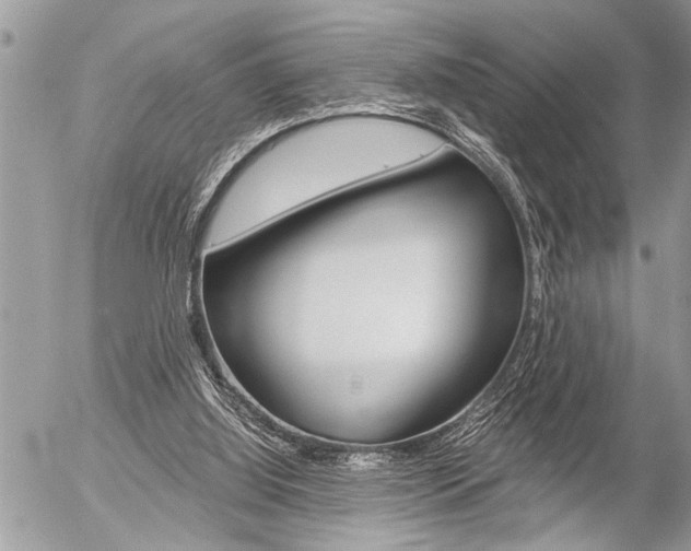 X0000058820060200509300926