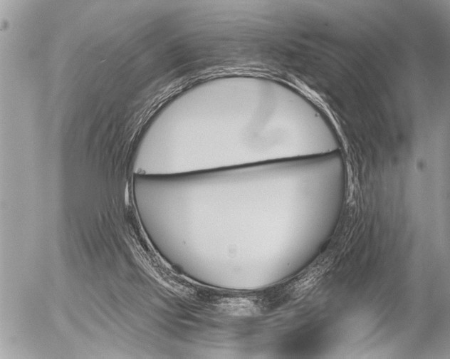 X0000058820061200509300926