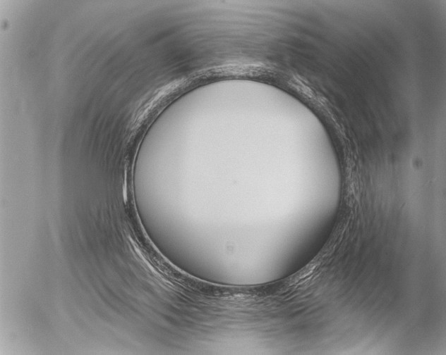 X0000058820062200509300926