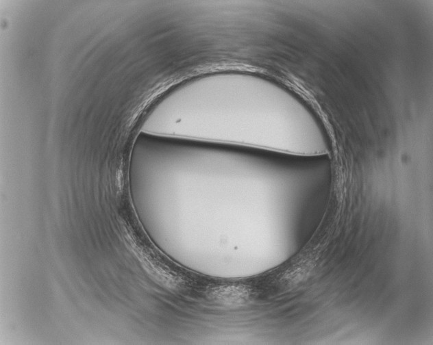 X0000058820063200509300926