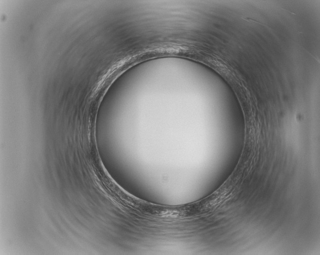 X0000058820064200509300926