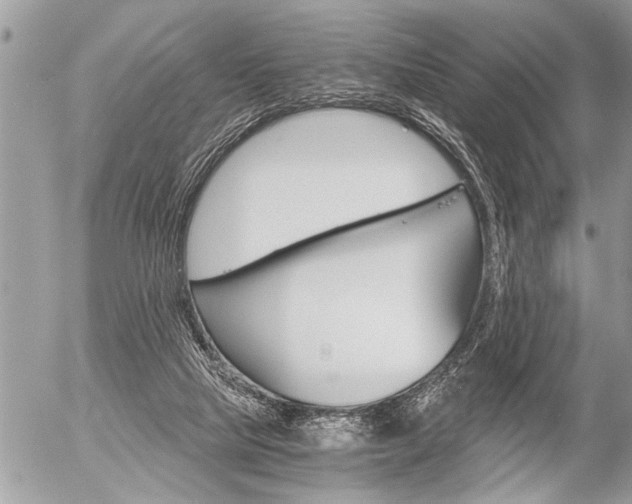 X0000058820065200509300926