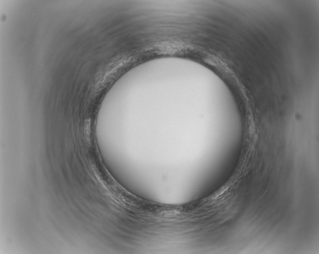 X0000058820066200509300926