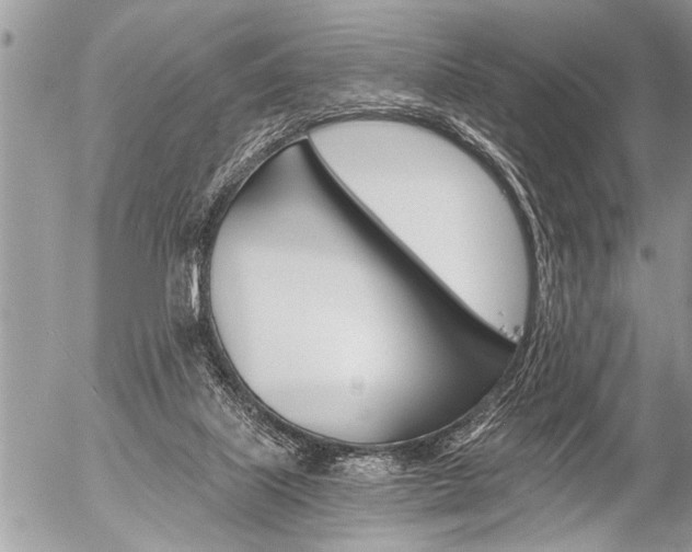 X0000058820067200509300926