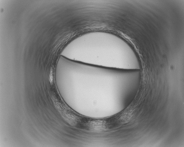 X0000058820069200509300926