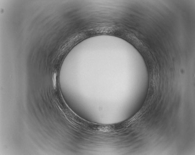 X0000058820070200509300926