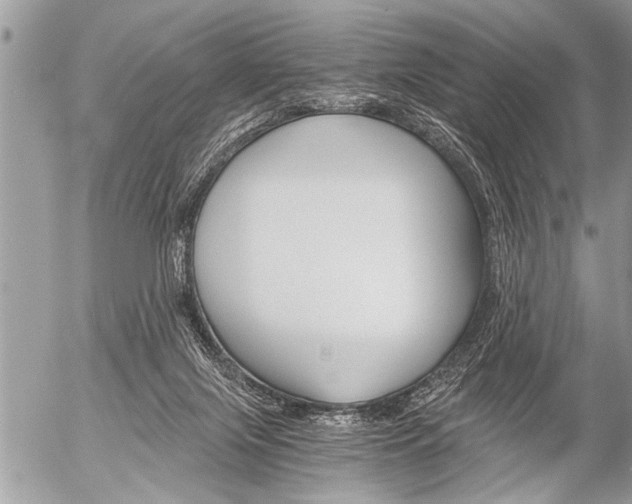 X0000058820071200509300926