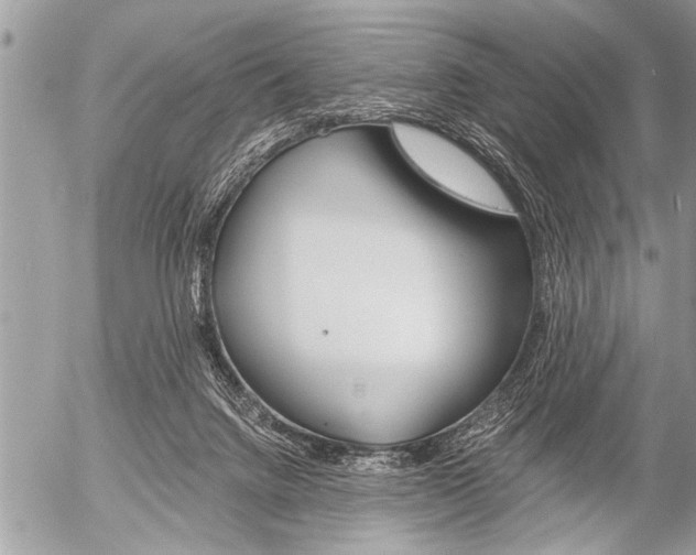 X0000058820072200509300926