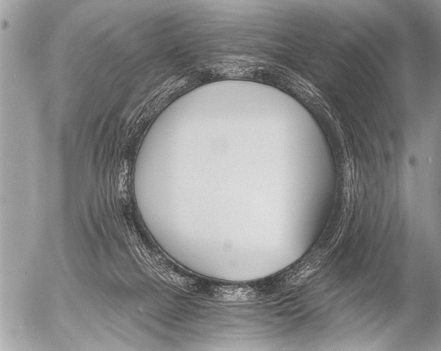 X0000058820073200509300926