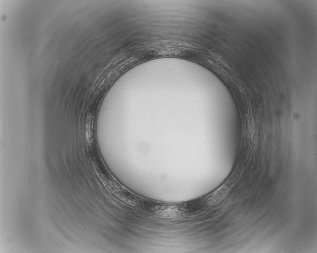 X0000058820074200509300926