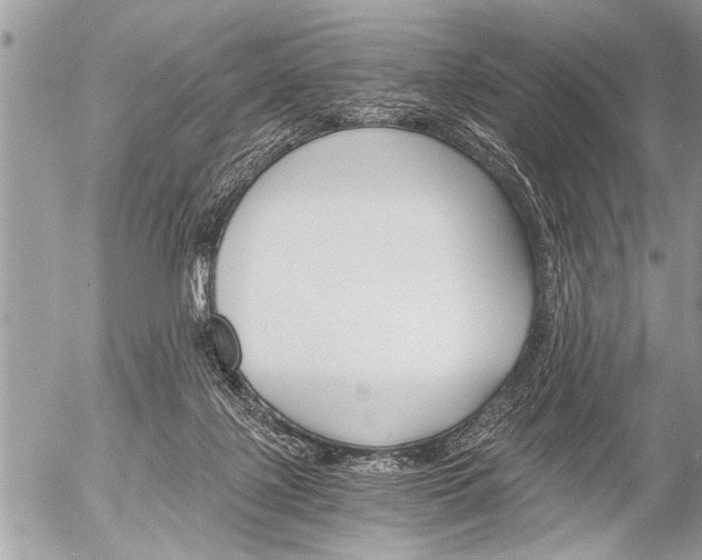 X0000058820075200509300926