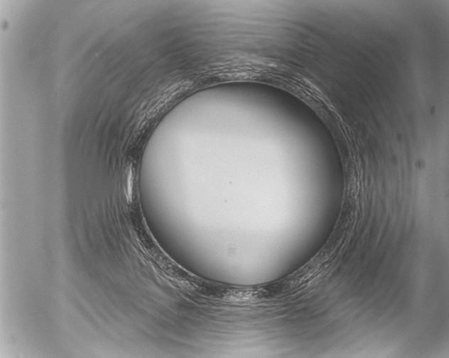 X0000058820076200509300926