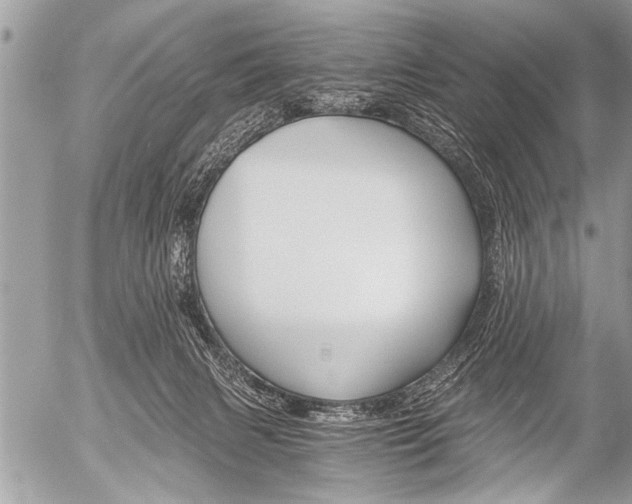 X0000058820079200509300926