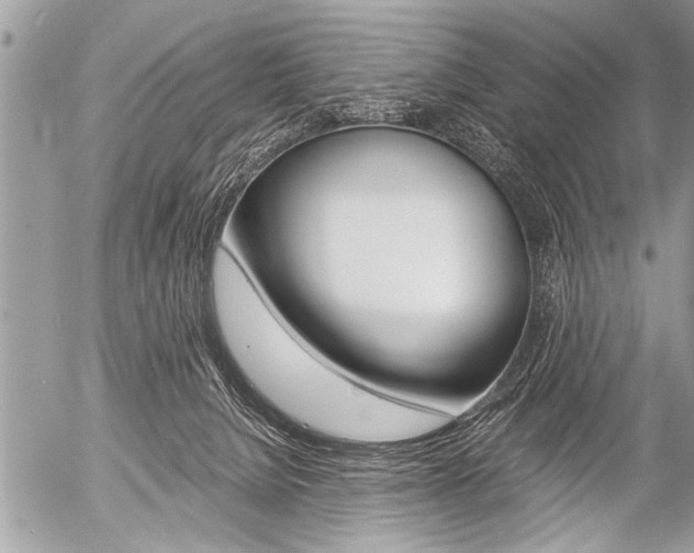 X0000058820080200509300926