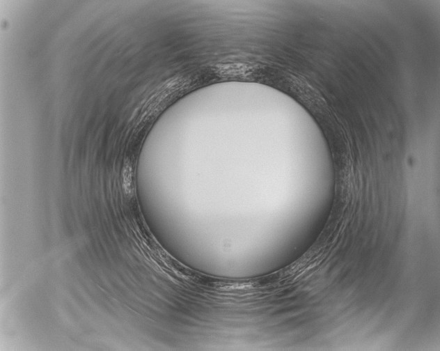 X0000058820081200509300926