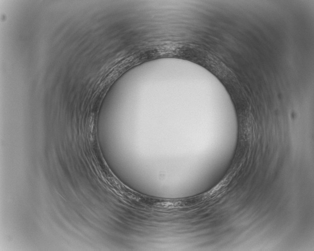 X0000058820082200509300926