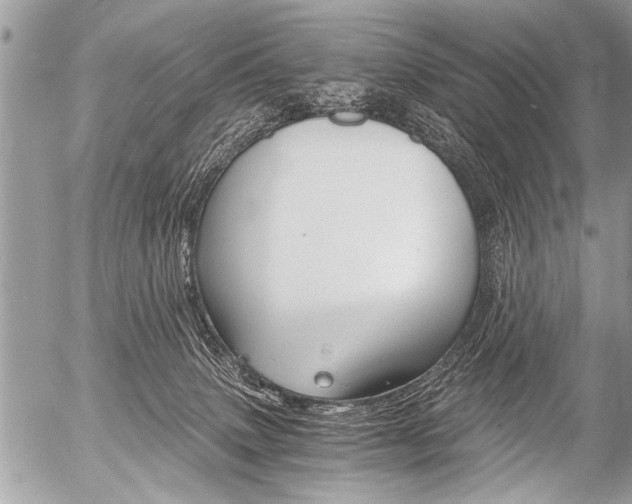 X0000058820083200509300926