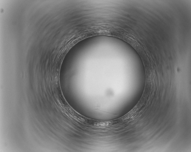 X0000058820084200509300926