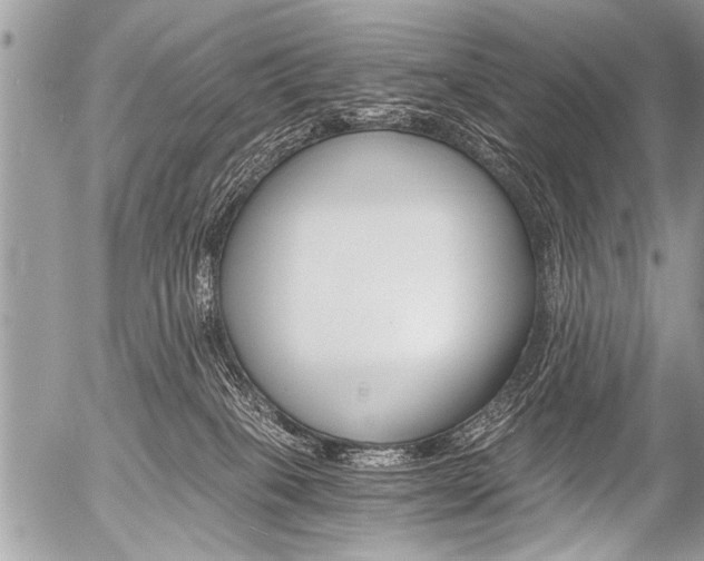 X0000058820085200509300926