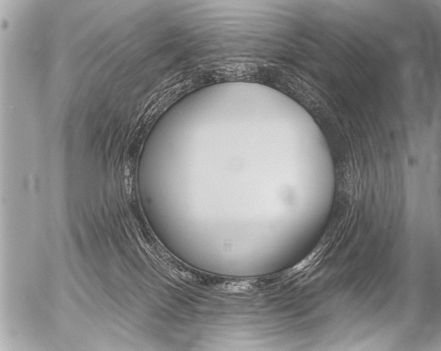 X0000058820086200509300926