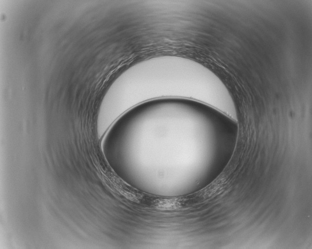 X0000058820088200509300926