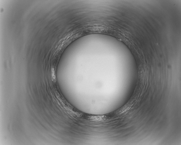 X0000058820089200509300926