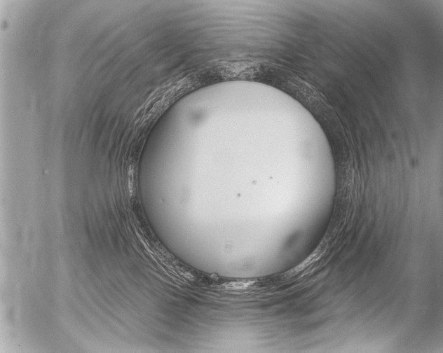 X0000058820090200509300926