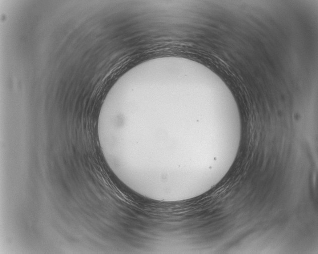 X0000058820091200509300926