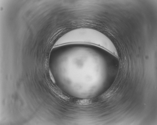 X0000058820092200509300926