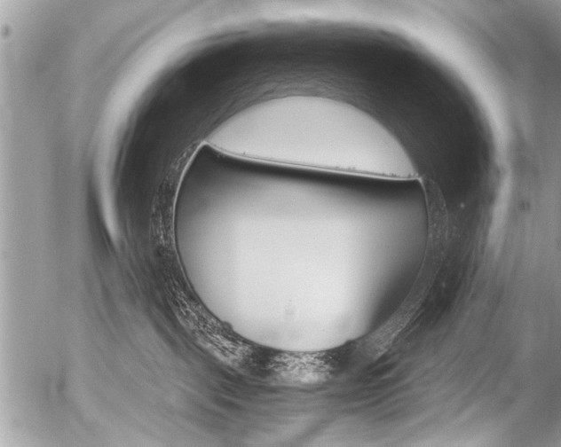 X0000058820093200509300926