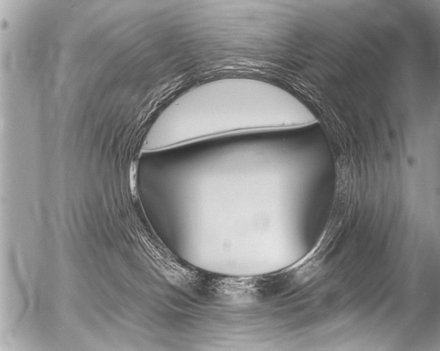 X0000058820094200509300926