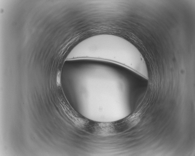 X0000058820095200509300926