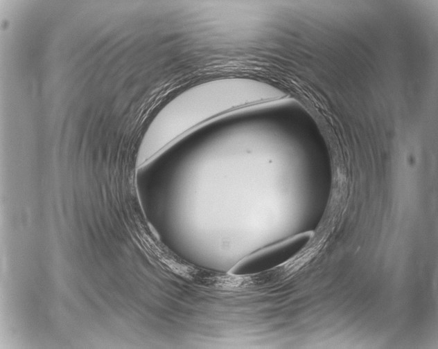 X0000058820096200509300926