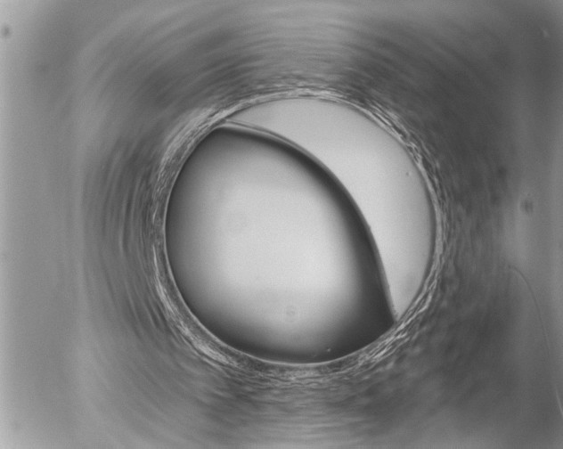 X0000058820097200509300926