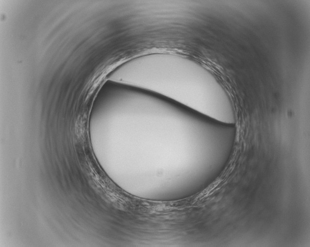 X0000058820098200509300926