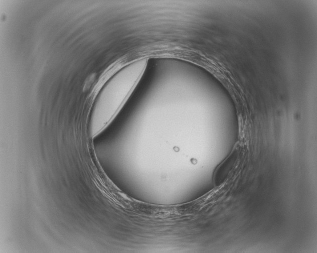 X0000058820099200509300926