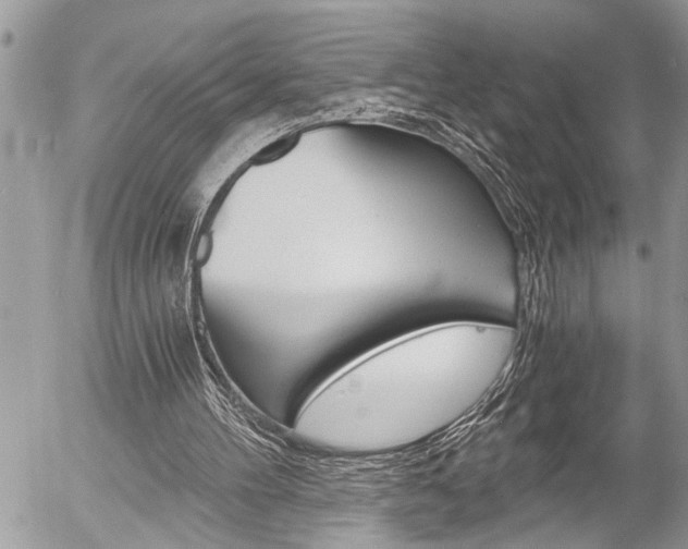 X0000058820100200509300926