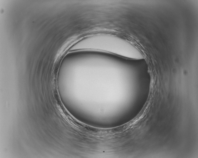 X0000058820101200509300926