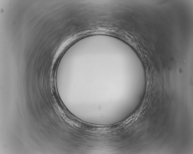 X0000058820102200509300926